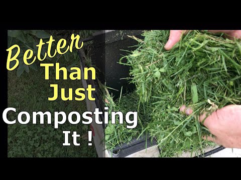 Here&#039;s The Way To Use Your Grass Clippings EVERYWHERE In The Garden - More Effective Than Composting