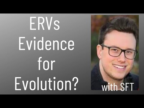 Are Endogenous Retroviruses Evidence for Evolution?
