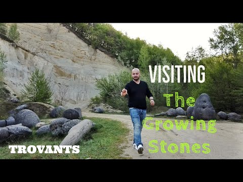 Visiting The Growing Stones | Trovants