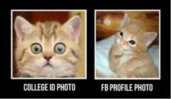 Reality Kitty vs FB Page Profile Kitty