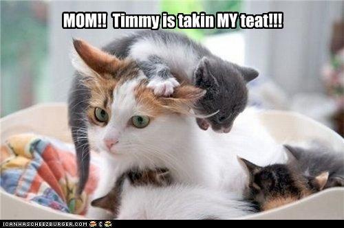 Timmy got my teat!