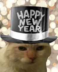 Happy New Year Cat!