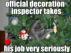 Official Decorations Inspector Takes His Job Very Seriously