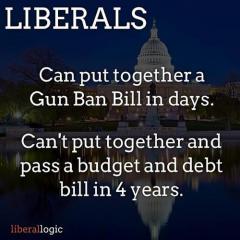 Libs Can Make a Gun Bill in Days But not a Budget in 4 Years