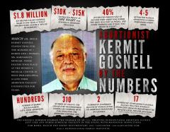 Gosnell By the Numbers