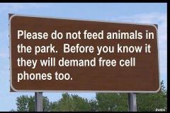 Number one reason why you shouldn&#039;t feed park animals