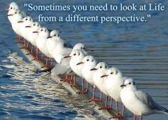 Sometimes You Need to Look at Life from a Different Perspective