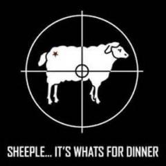 Sheeple, Its Whats for Dinner ;)
