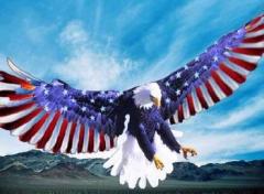 Patriot American Eagle