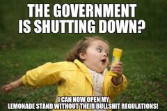 The Government Is Shutting Down? Good! Now I Can Open My Lemonade Stand Without All That Gov BS