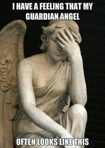 I have a feeling that my guardian angel often looks like this