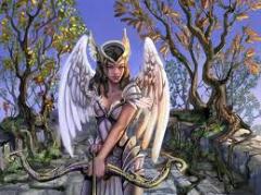 Angel warrior 2