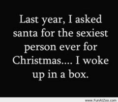 Last Year I asked Santa for the sexiest person in the world for Christmas and I woke up in a box