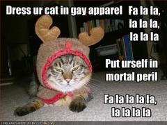 Christmas LOL cat