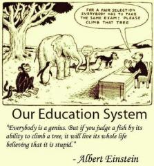 A Big Thing Wrong With Our Education System Is -