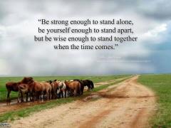 Be wise enough to stand together when the time comes
