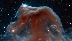 The Horsehead Nebula via NASA/ESA/Hubble.