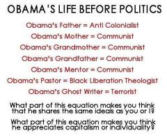 obamas life before politics