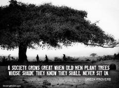 Society grows great when old men plant tress they know they will never sit under the shade of