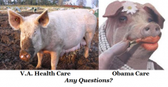 VA Healthcare VS Obamacare You can put lipstick on a pig but it is still a pig