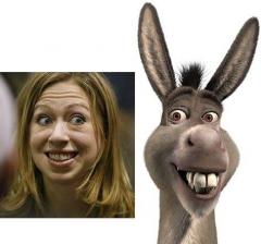Chealsea Clinton Looks Like the Shrek Donkey
