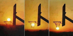 Sun basketball