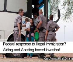 Federal Response to illegal immigration - Aiding and Abetting forced invasion