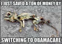 I just saved a ton of money by switching to obamacare