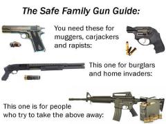 The Safe Family Gun Guide