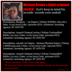 Michael Browns Adult Criminal Record