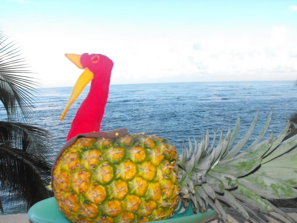 Hawaiian Turkey