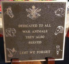 Dedicated to all war animals who served - Thank you