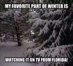 My favorite part of winter is watching it on TV from florida