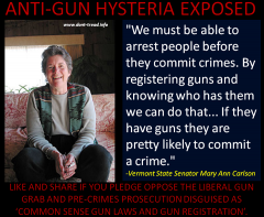 Anti Gun Hysteria Exposed Vermont State Senator Mary Ann Carlson thinks gun owners are likely criminals