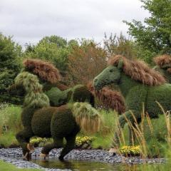 Horse topiary from New Zealands Ultimate Equestrian Page