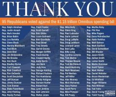 Thank these 95 Republicans for voting against the 1 and a half trillion omnibus spending bill
