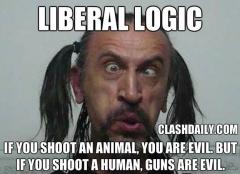 liberal logic -guns
