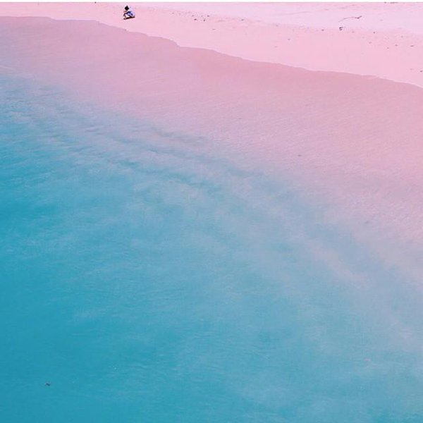 pink sand beach = crushed pink coral and white sand