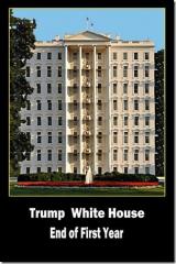 Trump Whitehouse end of first year