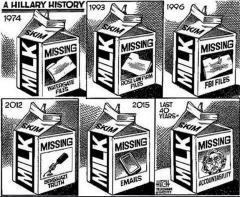 Hillary Clinton History Should Be On The Back Of Milk Cartons