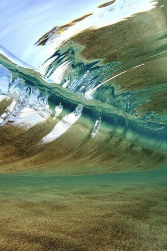 An underwater picture of a wave