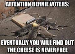 Attention Bernie Voters THE CHEESE IS NEVER FREE