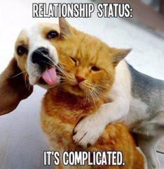 Relationship Status - Its Complicated