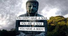 you dont have a soul you are a soul who has a body