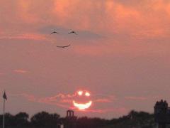 Happy sun Happy birds