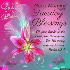 241286-God-Bless-Good-Morning-Tuesday-Blessings