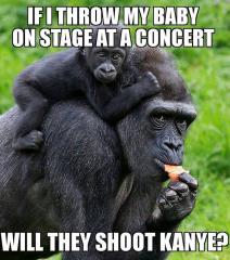 If I throw my baby on stage will they shoot Kanye