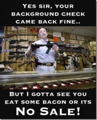 gun back ground check