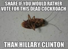 I would rather vote for this dead cockroach than hillary clinton