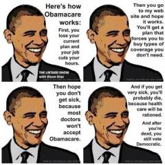 How Obamacare Works